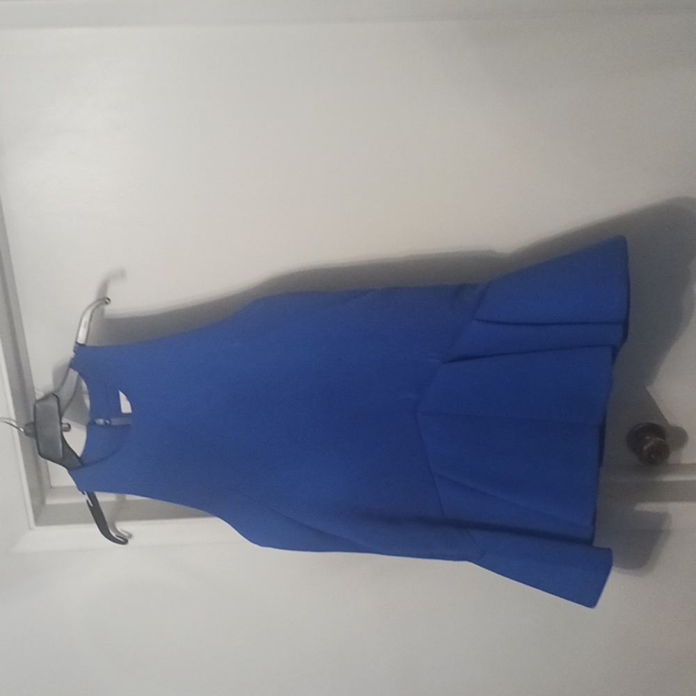 Fitted Mini Dress